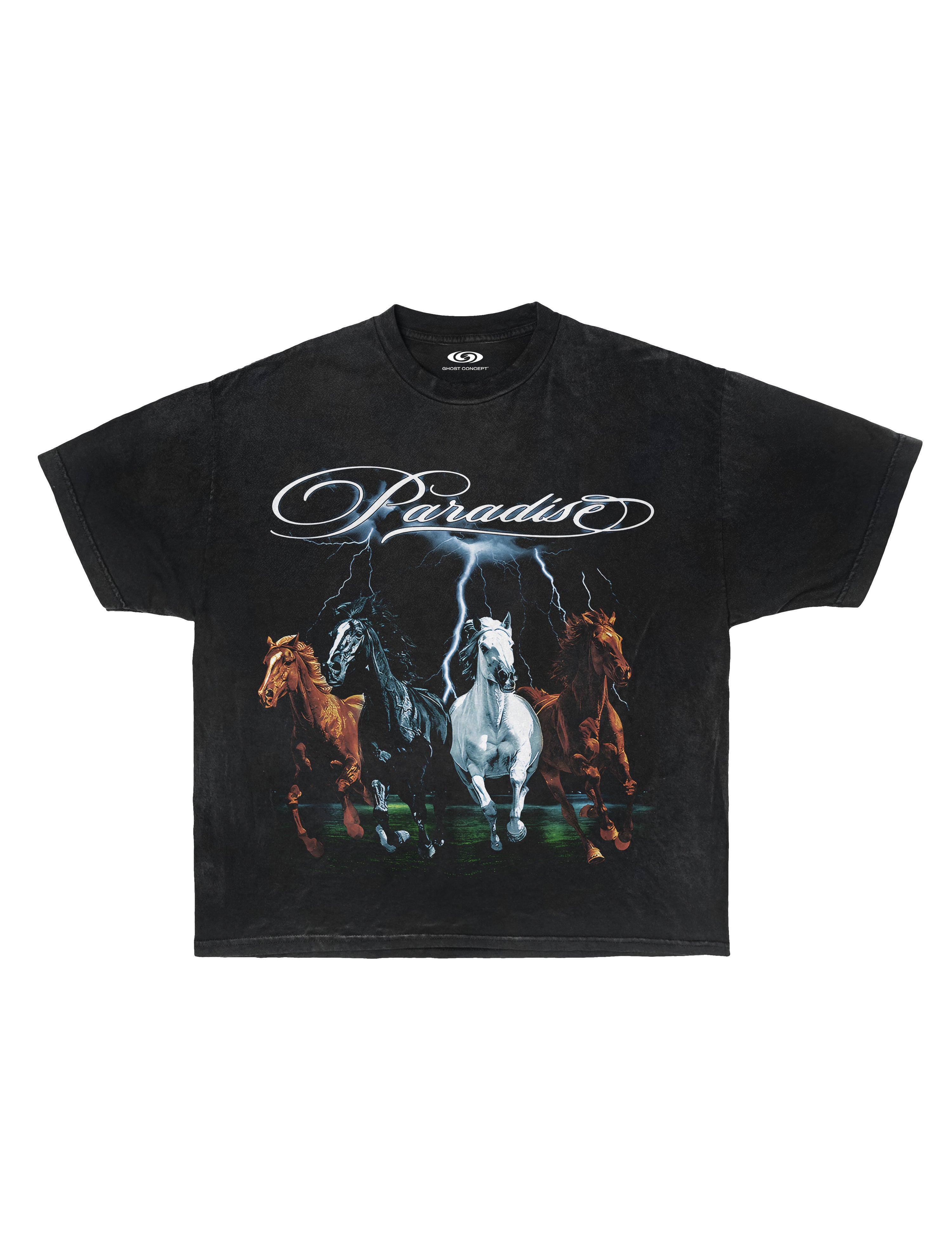 PARADISE GRAPHIC TEE - VINTAGE WASH